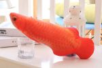 Cat toy;  imitation fish toy;  pet;  plush cat;  mint fish;  cat;  carp toy - dragon fish - 30cm with zipper