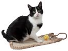 Pet Life Eco-Natural Sisal And Jute Hanging Carpet Kitty Cat Scratcher Lounge With Toy - Brown