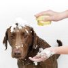 Bathroom Puppy Big Dog Cat Bath Massage Gloves Brush Soft Safety Silicone Pet Accessories for Dogs Cats Tools Mascotas Products - yellow - Square