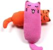 Cat Catnip Toys Playing Teeth Cleaning Plush Pillow Scratcher Pet Catnip Teeth Grinding Chew Toys - Pink