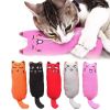 Rustle Sound Catnip Toy Cats Products for Pets Cute Cat Toys for Kitten Teeth Grinding Cat Plush Thumb Pillow Pet Accessories