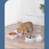 Pet Cat Bowl Stainless Steel Multifunctional Dog Cat Bowl With Water Bottle Drinking Water Feeding Bear Bowl gatos