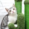 Pet Supplies Cute Cactus Tree Pet Cat Toy  With Ball Scratching Post